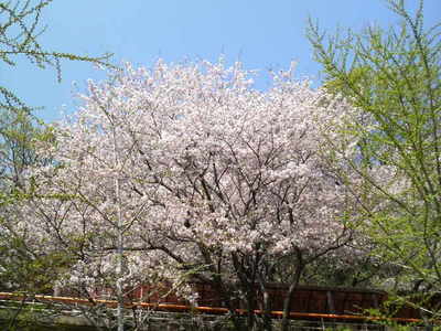 P1000374.JPG