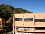 room2.jpg