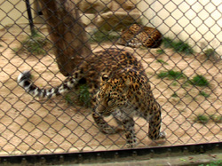 zoo2.jpg